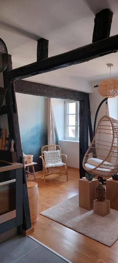 Appartement Le Verdoyant Hyper Centre Avec Sauna Et Parking Colmar Eksteriør bilde